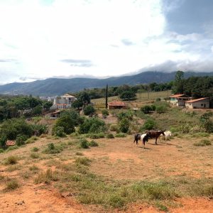 032bc6ee-84e9-4f7f-93e0-ec59b1511dd6