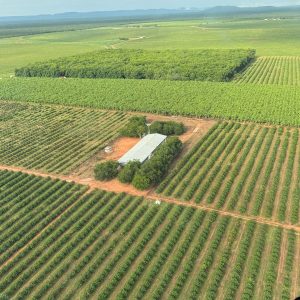 0c49551d-0299-4175-a4f3-0a8c0d3a81e4