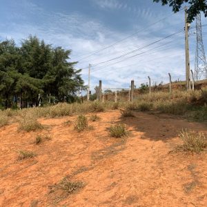 1a53e57c-d3cd-4571-ad85-7eafe6e6bd02