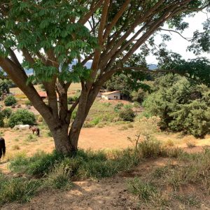 254c36c1-ad89-4dc1-80e2-7cf48631097d