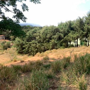 4702f681-3007-42b2-b587-4d519a34806c