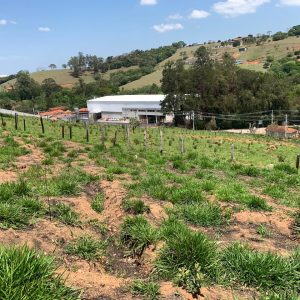 62f7b28f-0c6b-472b-89f9-ced6fc42a862