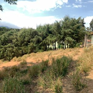 72ec8cf2-5818-4cf4-84ed-97087a1fe3d3