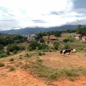 79fadb3b-95d3-4b57-b9b2-ac42d668c68c