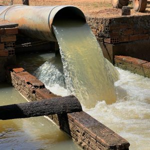 89602eb6-0a67-4beb-9a2b-b0d25573e0c8