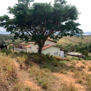 8f890cb7-ac7f-4f57-bcfa-e2c3e386292d