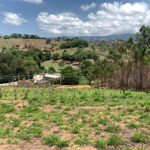 ac22fff3-e183-4d60-94dd-67f7cb96172e