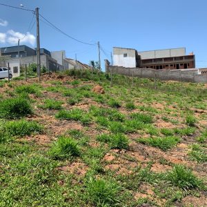 cb461698-69a6-4eb2-9c5a-8fe65377822f