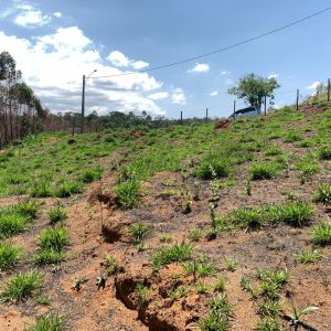 cced1835-1bbe-4442-afb5-b3172998a0f0