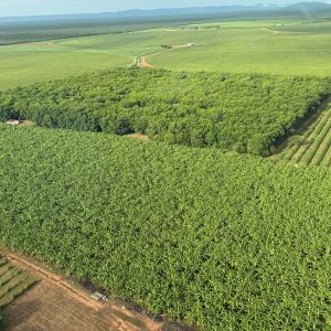 d938f067-f1ad-479a-a800-8332e07ec8fc