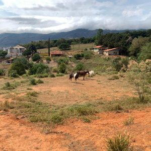 f443ec50-3569-45cc-9d73-fe09890207f4