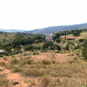 f9928189-2dc0-4b1a-b599-9605c3ff2161